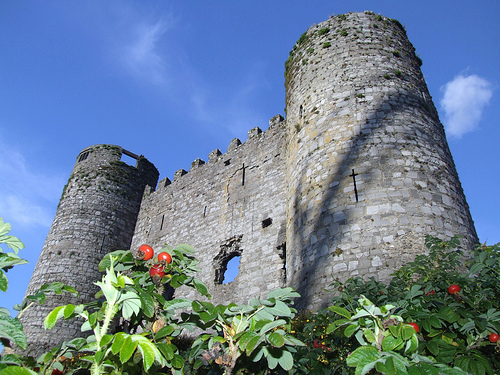 Carlow Castle